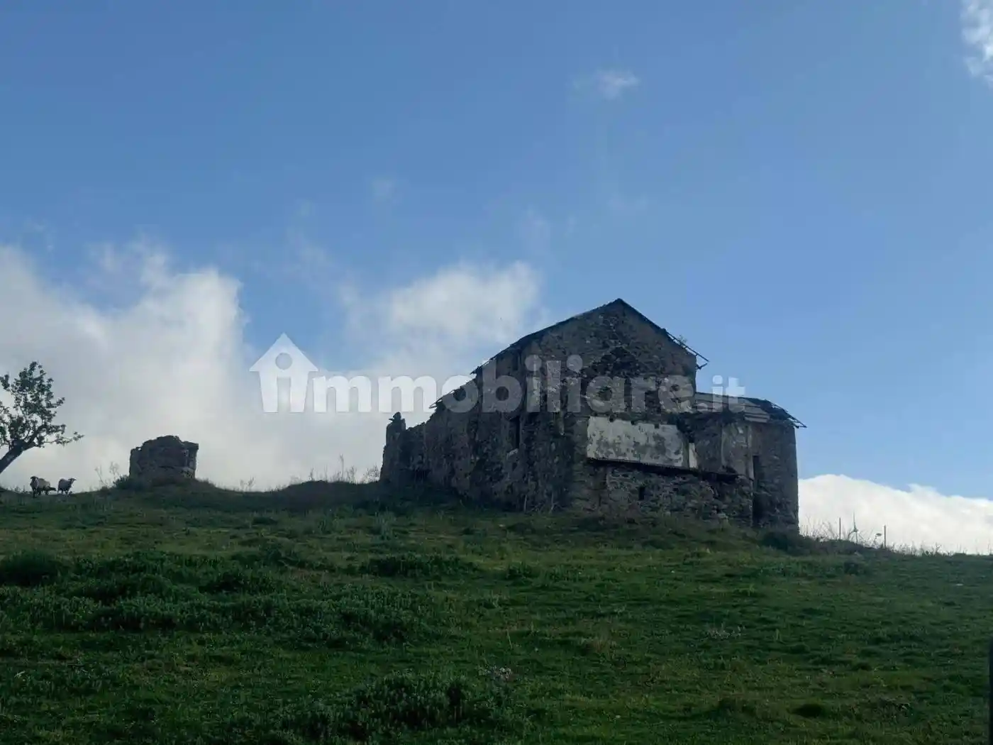 Rustico - Casale in vendita a Stella