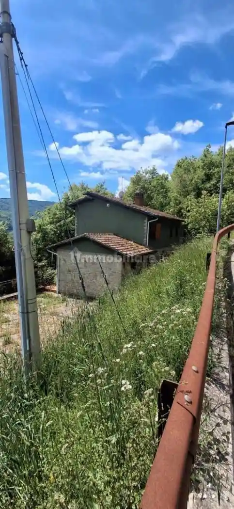 Casa indipendente in vendita a Montemignaio