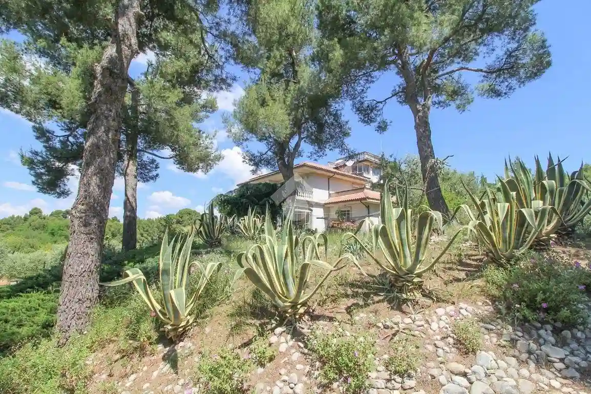 Villa - foto 5