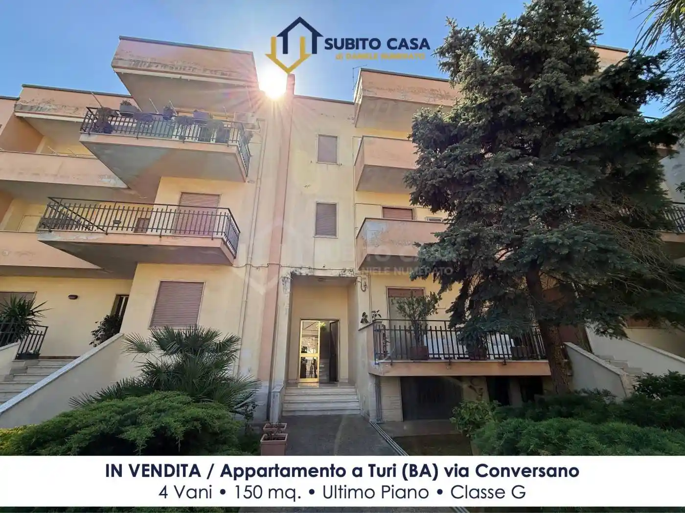 Appartamento in vendita a Turi