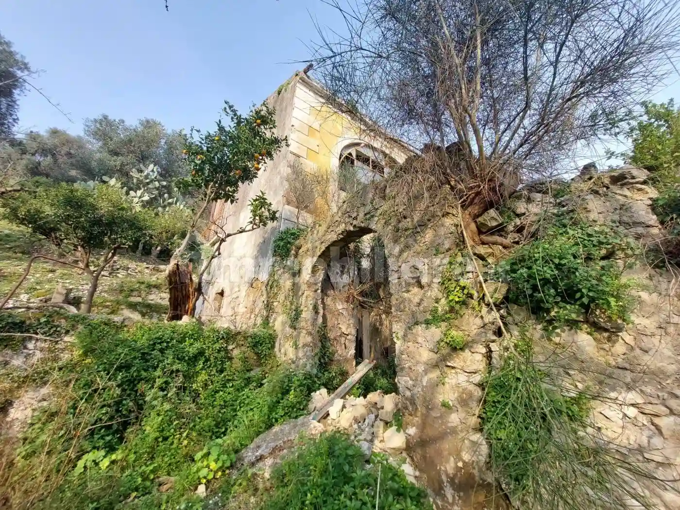 Rustico - Casale - foto 5
