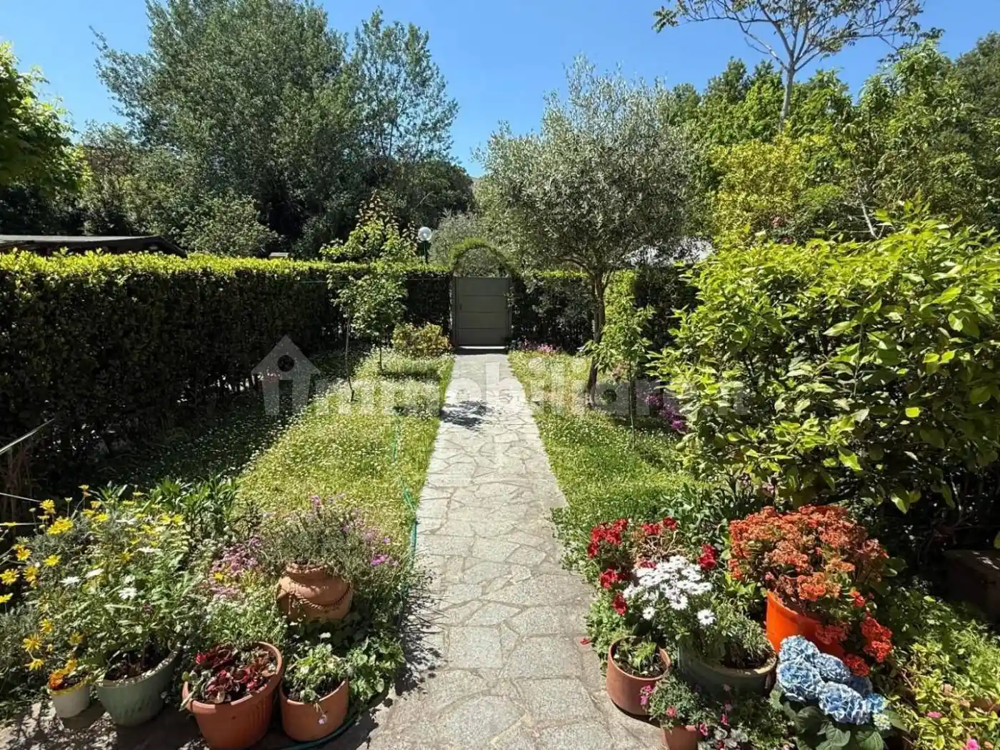 Rustico - Casale in vendita a Pisa
