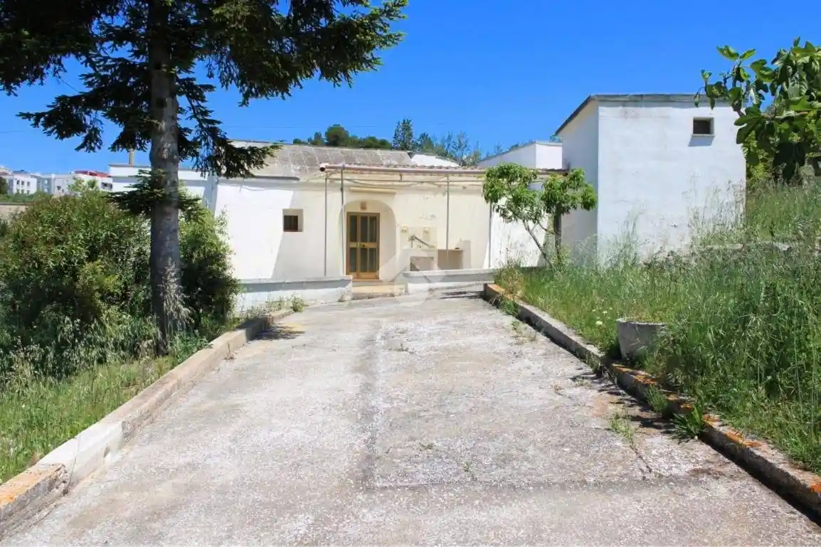 Rustico - Casale in affitto a Putignano