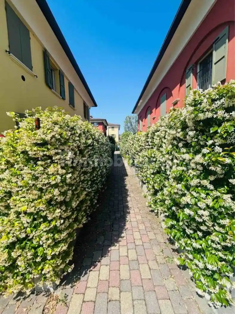 Appartamento in affitto a Modena