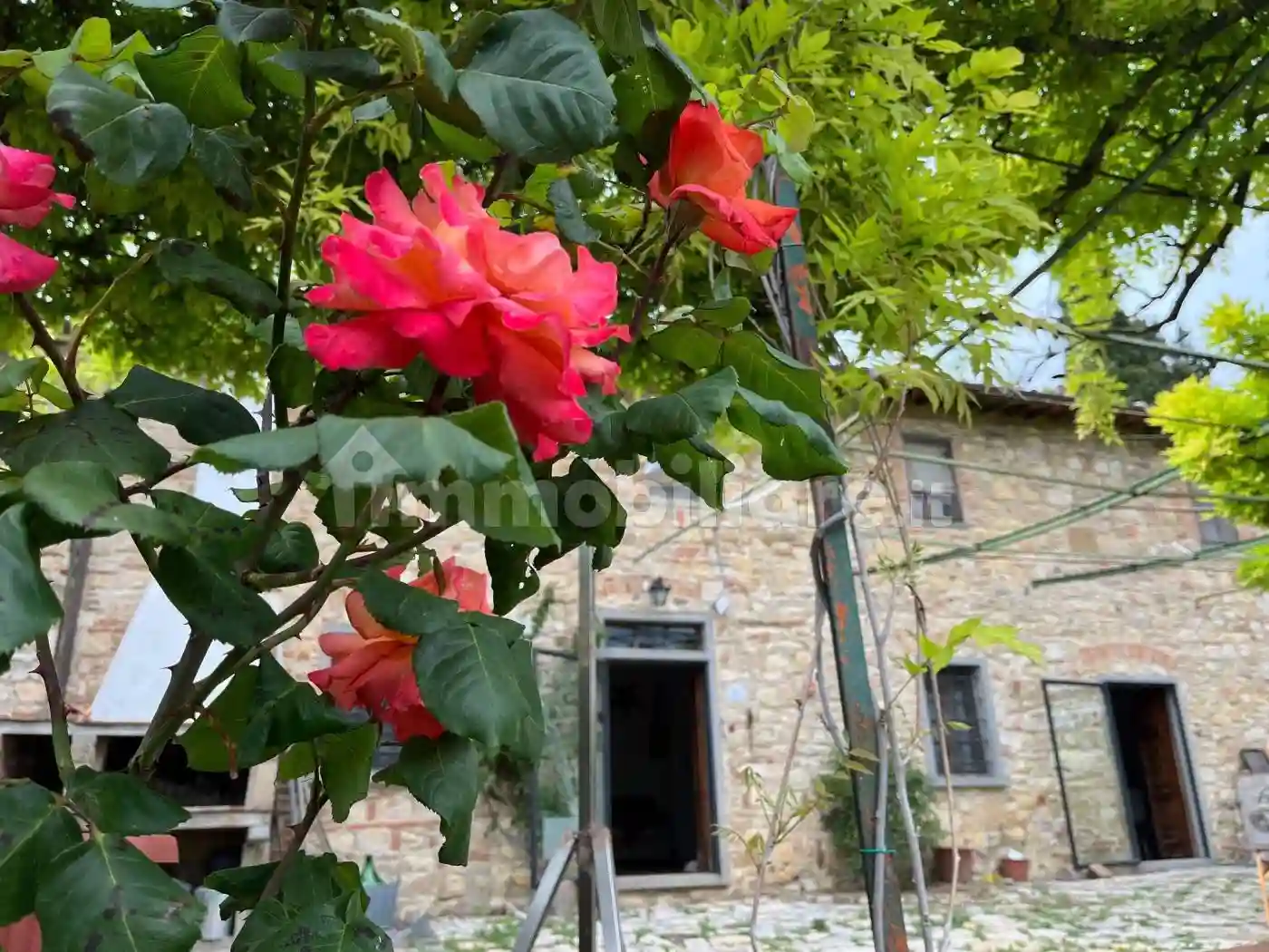 Rustico - Casale - foto 2