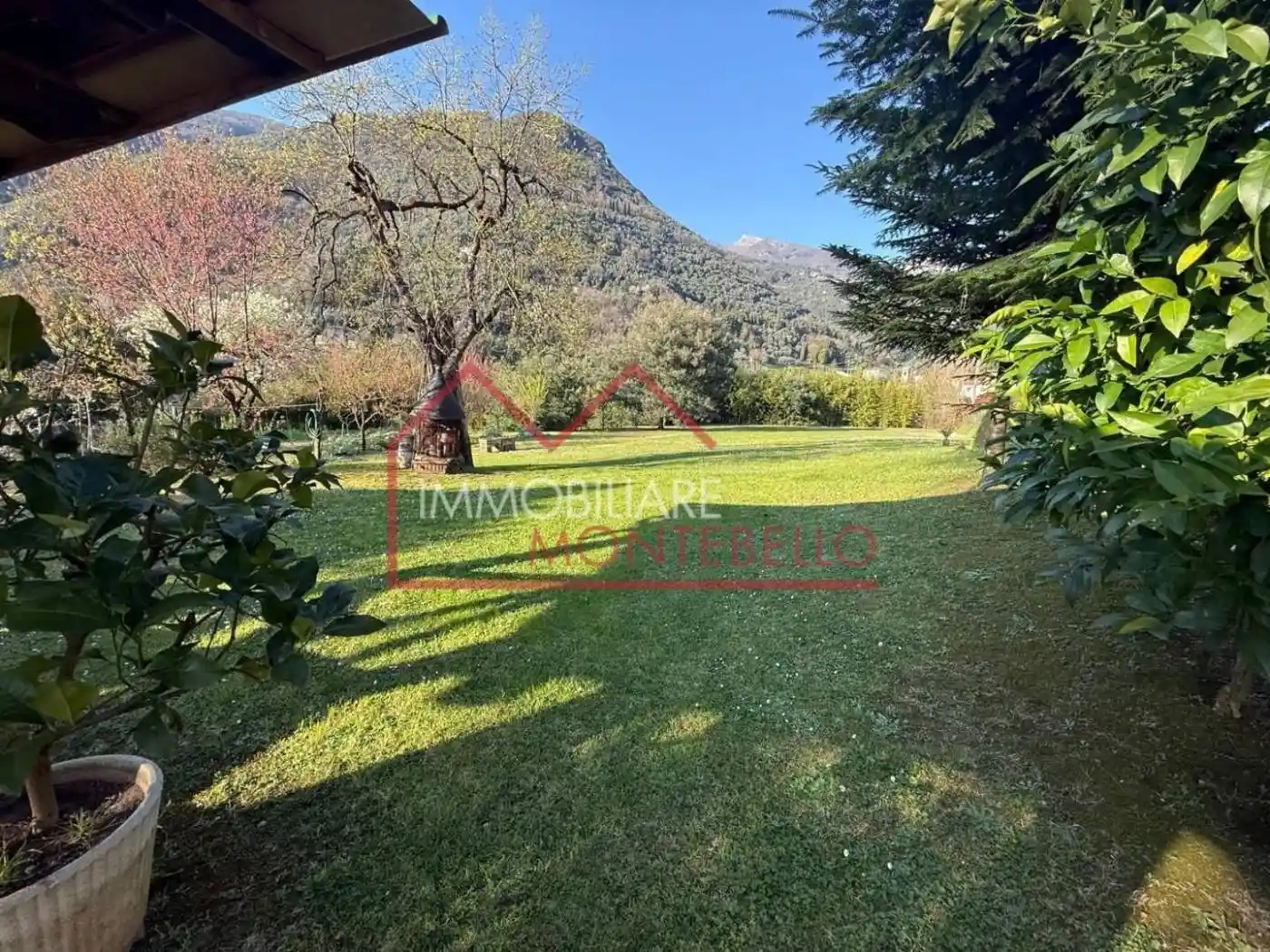 Casa indipendente in vendita a Camaiore