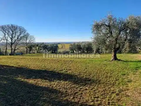 Rustico - Casale in vendita a Bardolino