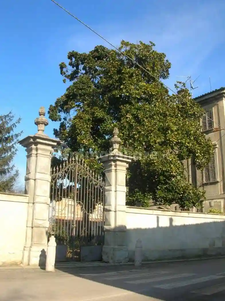 Palazzo - Edificio - foto 5