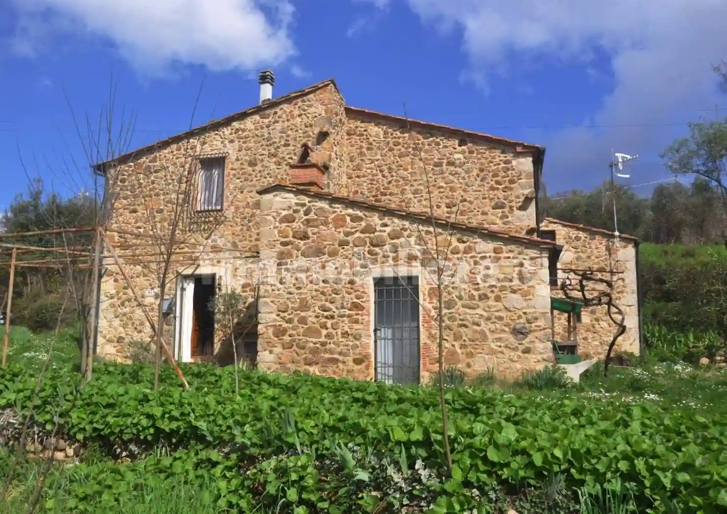 Rustico - Casale - foto 3
