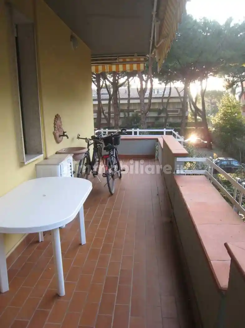 Appartamento in affitto a Massa