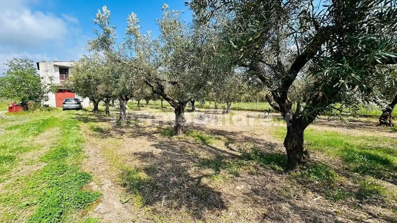 Rustico - Casale in vendita a Gizzeria