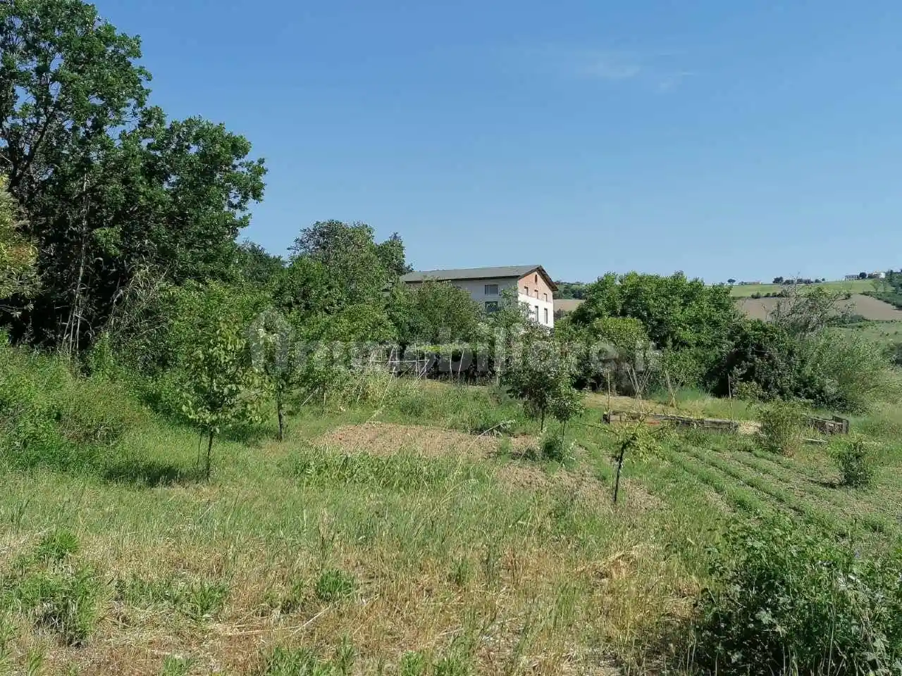 Rustico - Casale in vendita a Polverigi