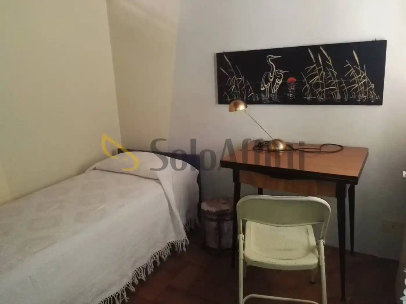 Appartamento in affitto a Siena