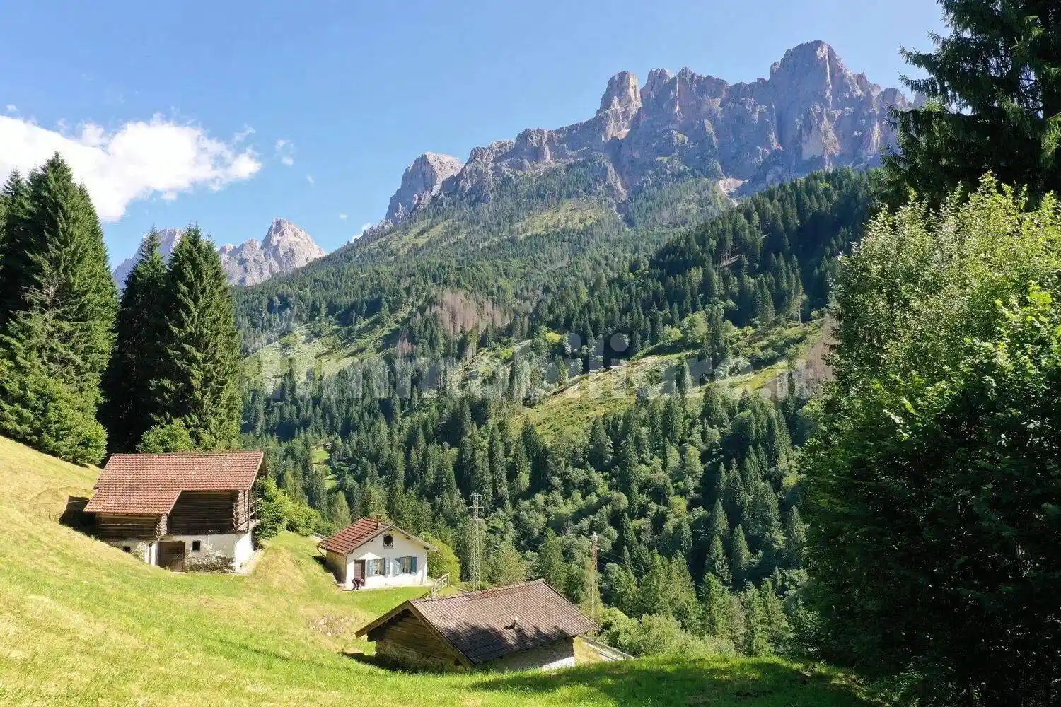 Rustico - Casale in vendita a Primiero San Martino di Castrozza