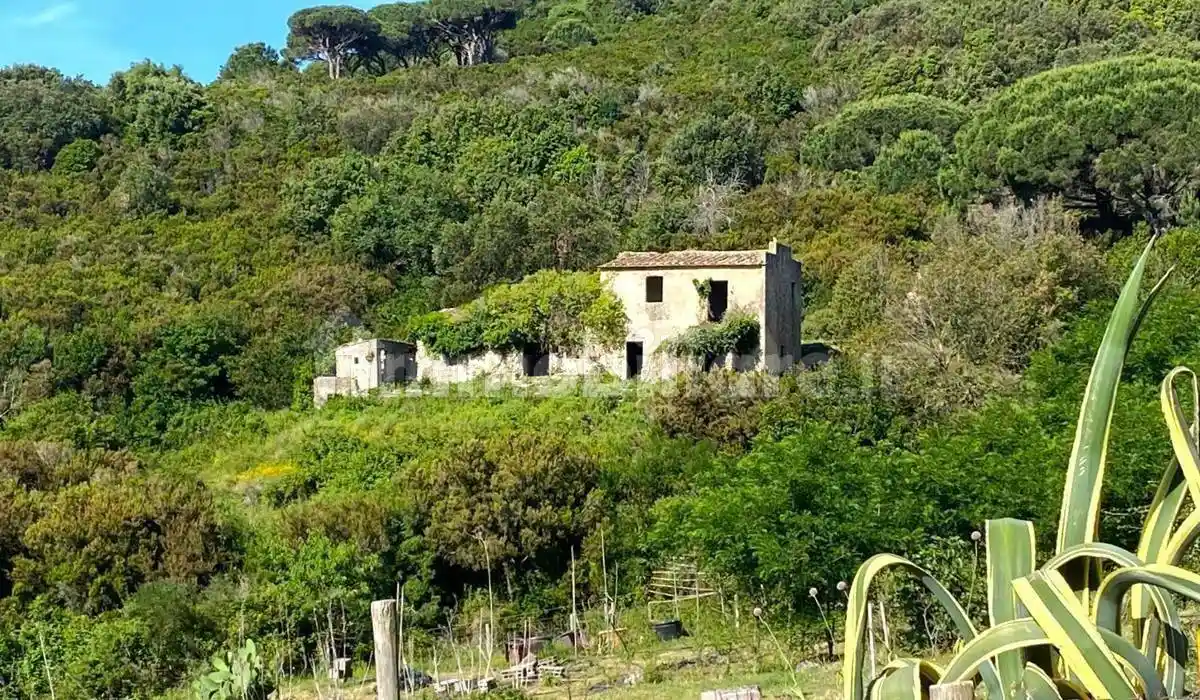 Rustico - Casale in vendita a Campo nell'Elba