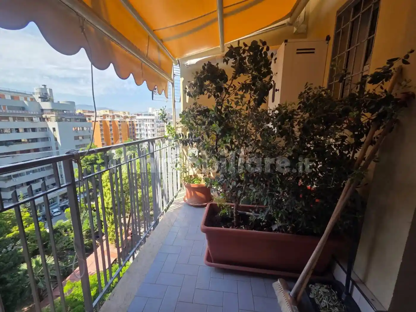 Appartamento in affitto a Palermo