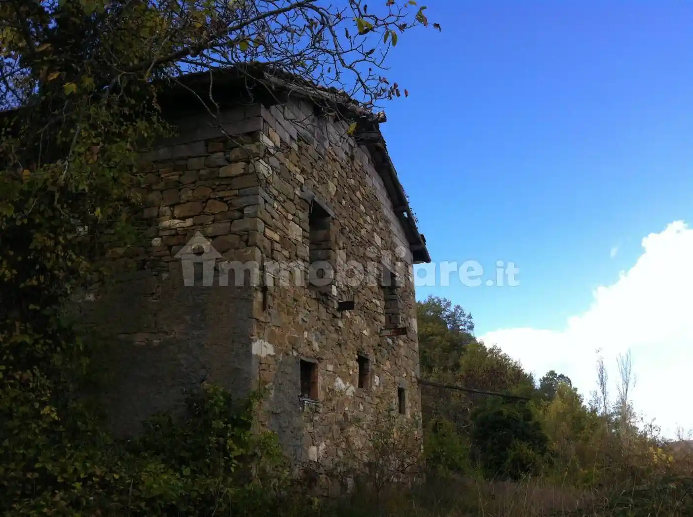 Rustico - Casale in vendita a Montecreto