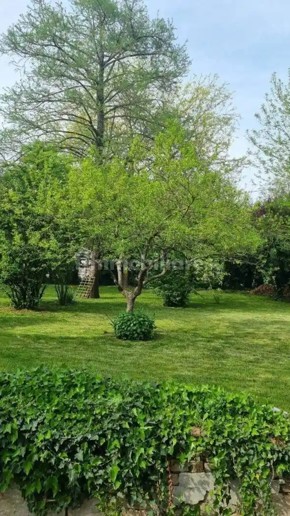 Rustico - Casale in vendita a Carpi