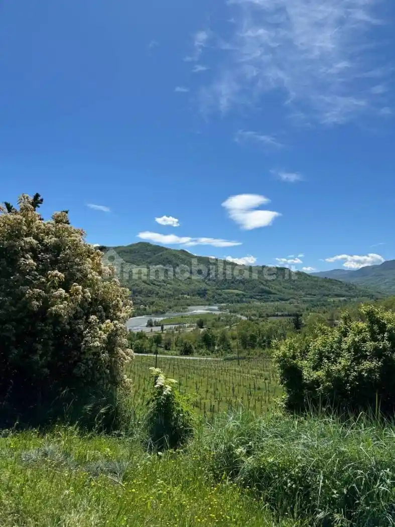 Appartamento in affitto a Travo