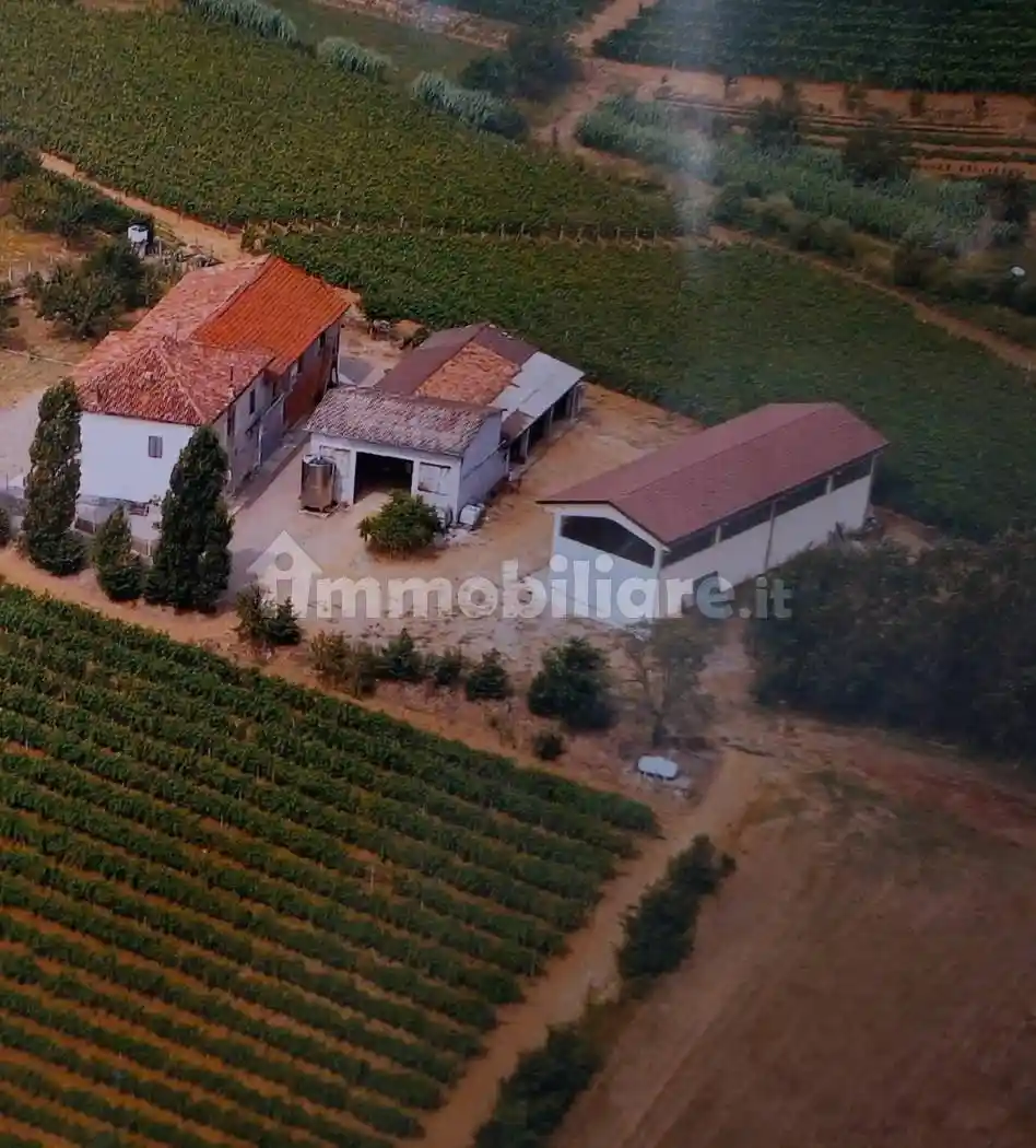 Rustico - Casale in vendita a Montaldo Bormida