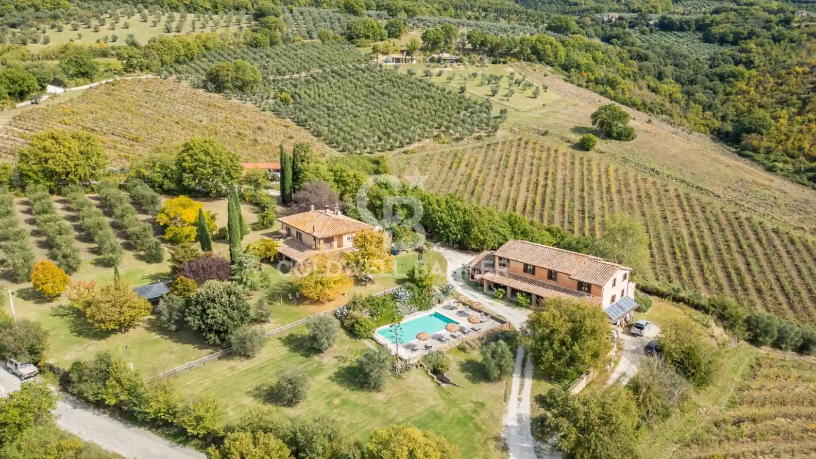 Rustico - Casale in vendita a Montecchio