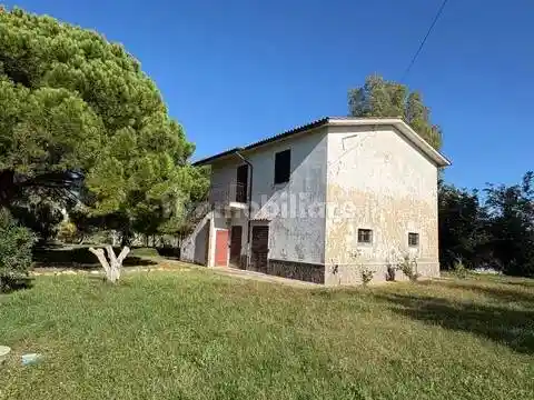 Rustico - Casale in vendita a Capalbio