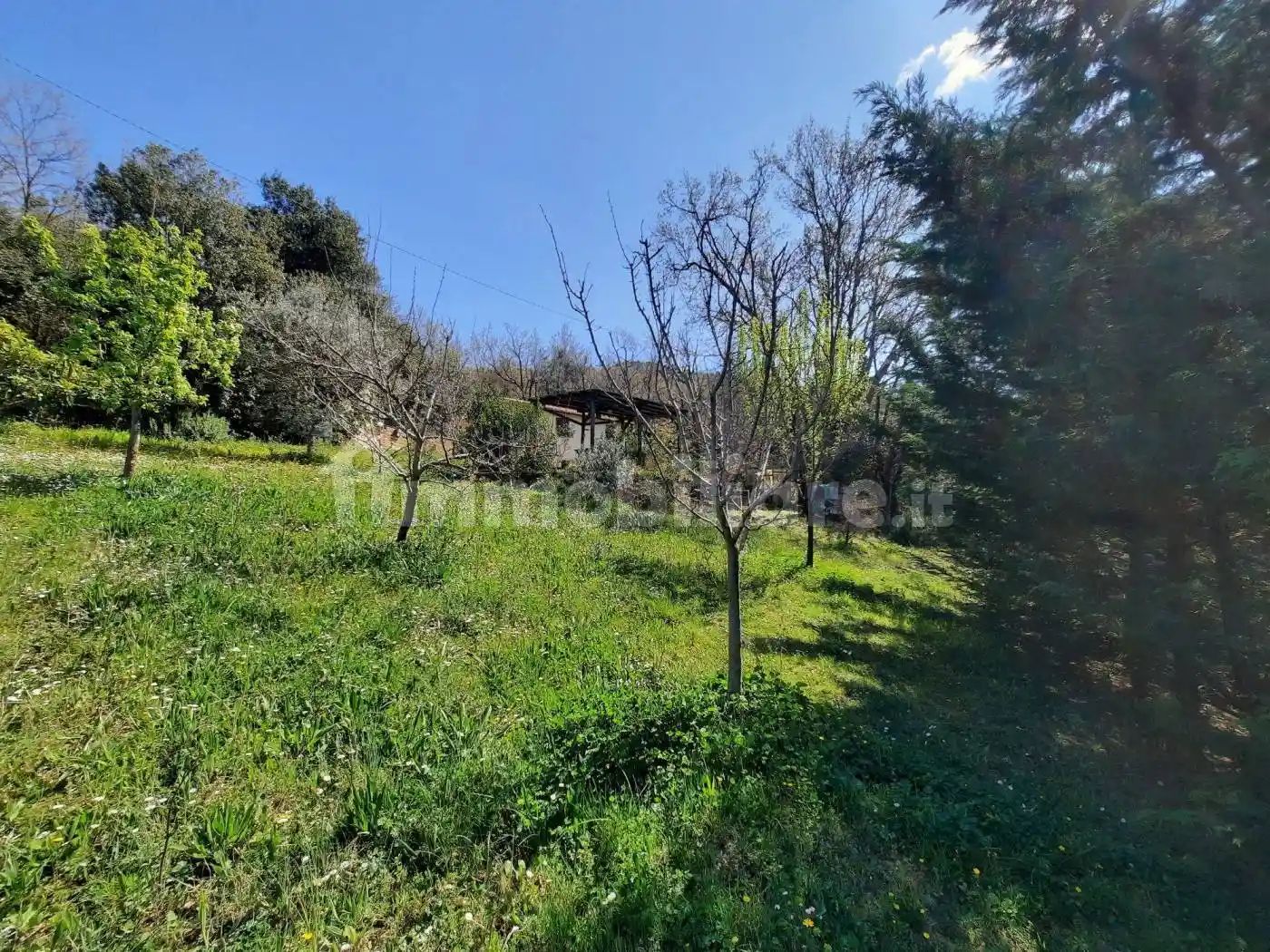 Villa in vendita a Castellina Marittima