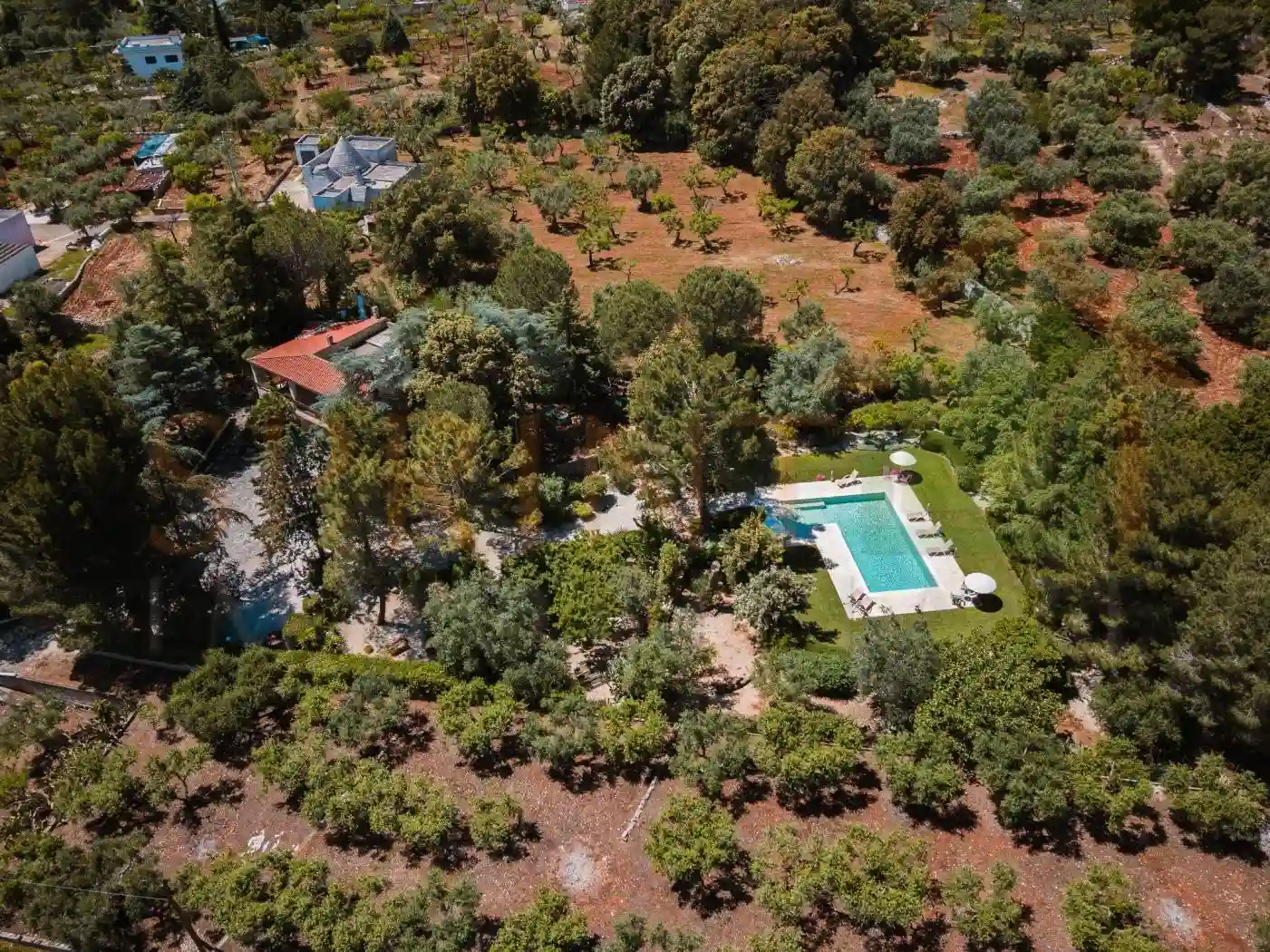 Villa - foto 3