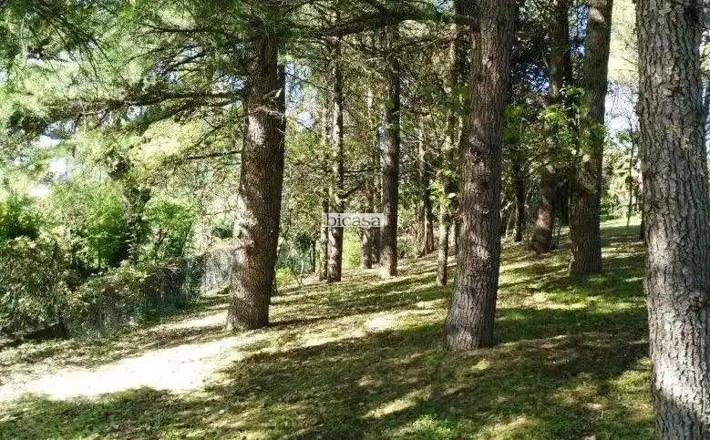 Villa in vendita a Pesaro