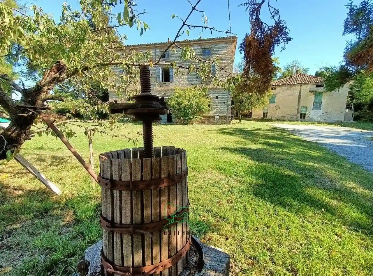 Rustico - Casale - foto 3