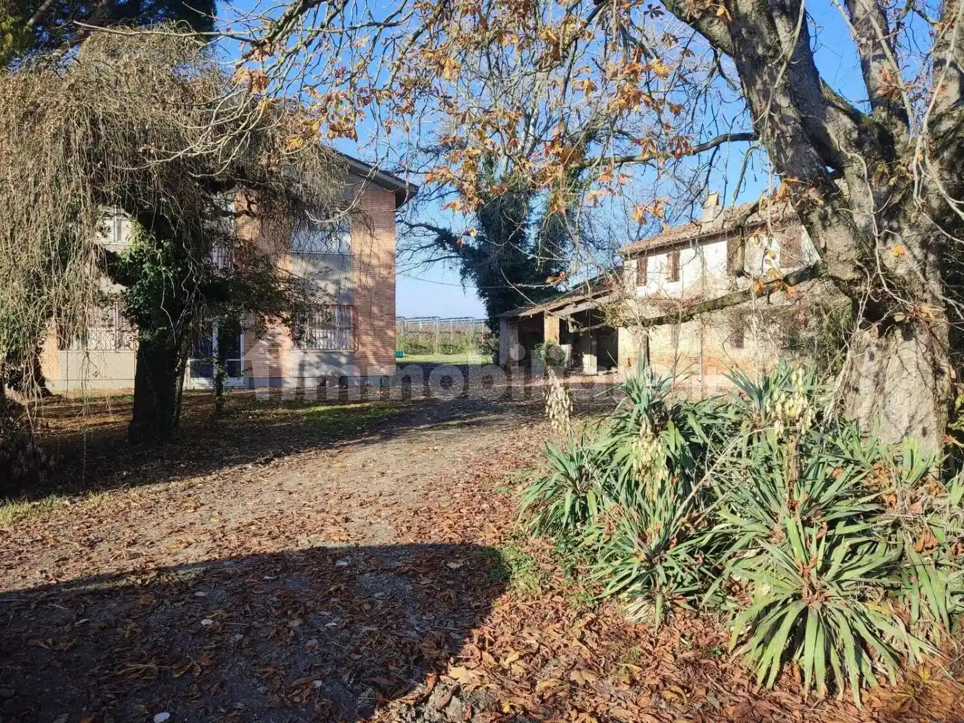 Rustico - Casale in vendita a Bagnacavallo