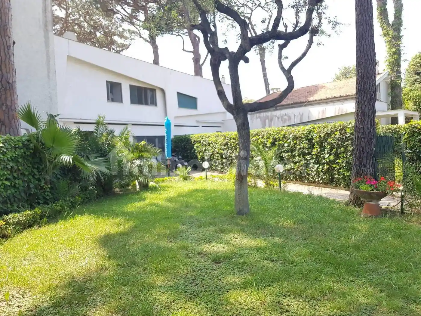 Villa in affitto a Fiumicino