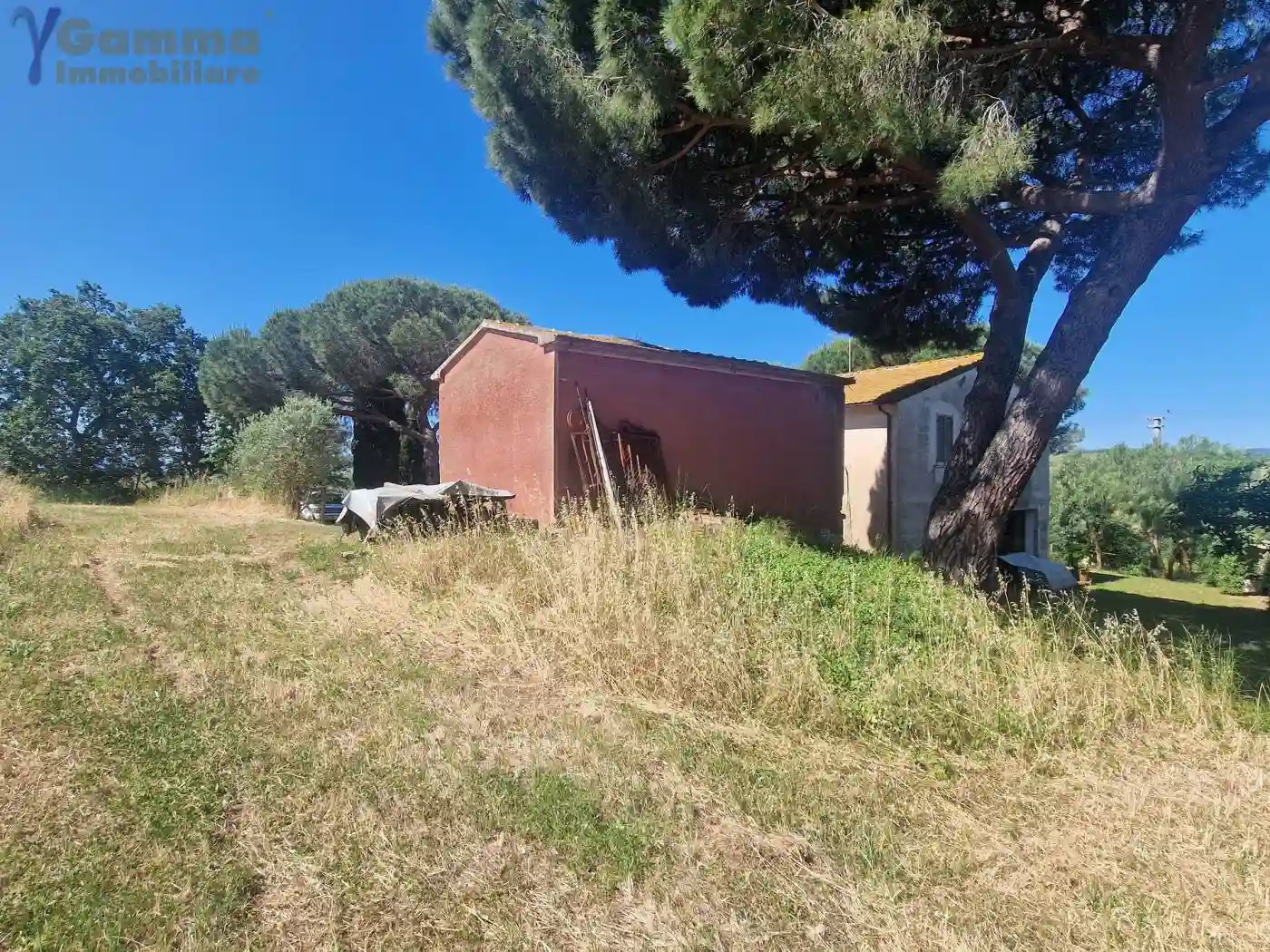 Rustico - Casale - foto 5