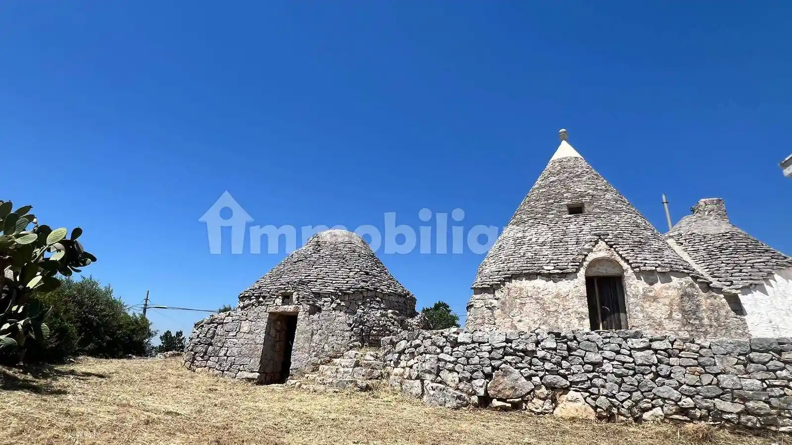 Rustico - Casale in vendita a Cisternino