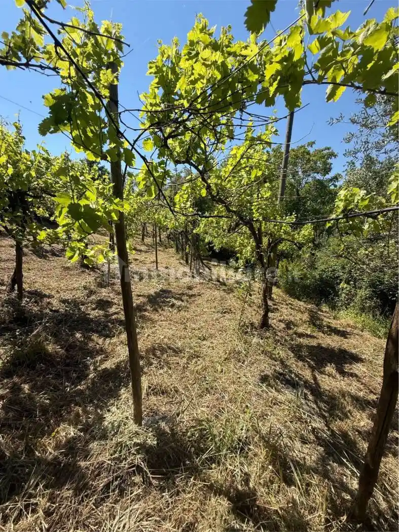 Rustico - Casale in vendita a Castelvetere sul Calore