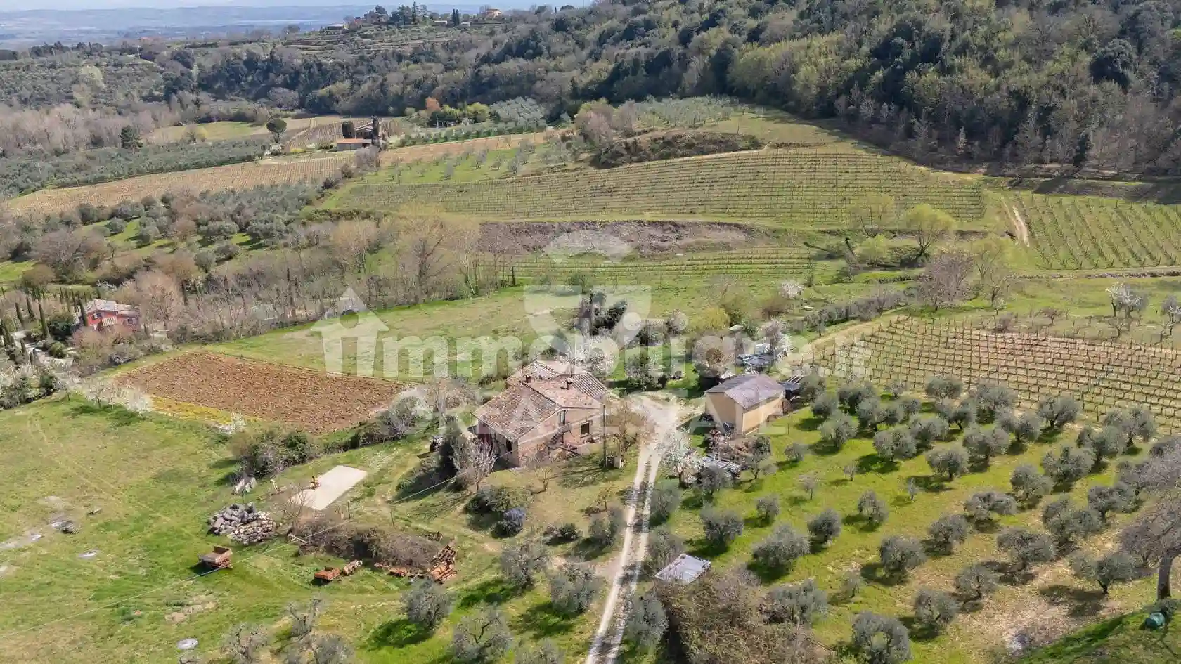 Rustico - Casale - foto 2