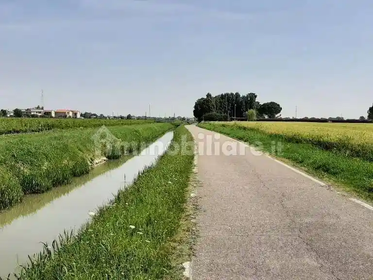 Appartamento in vendita a Camponogara