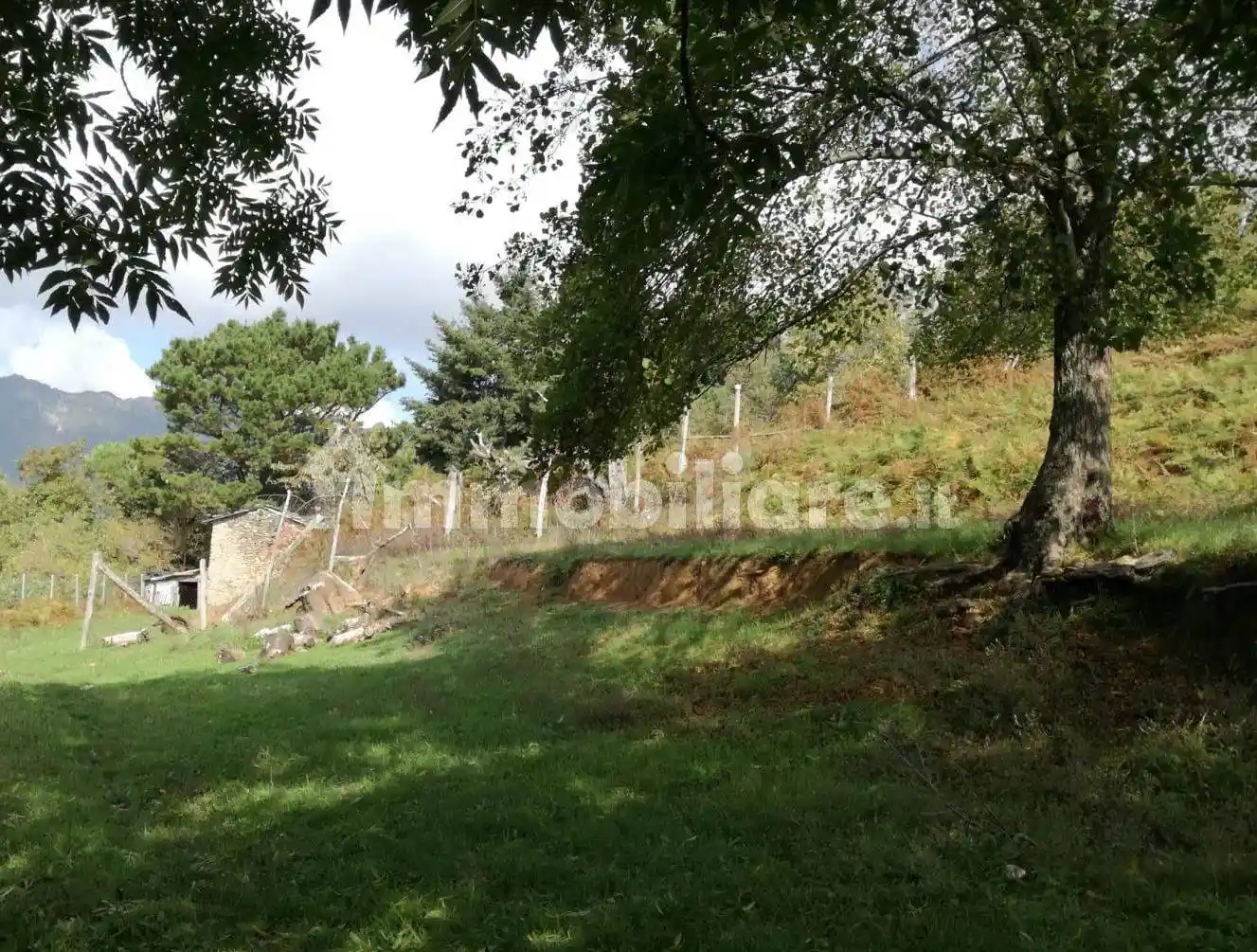 Rustico - Casale in vendita a Seravezza