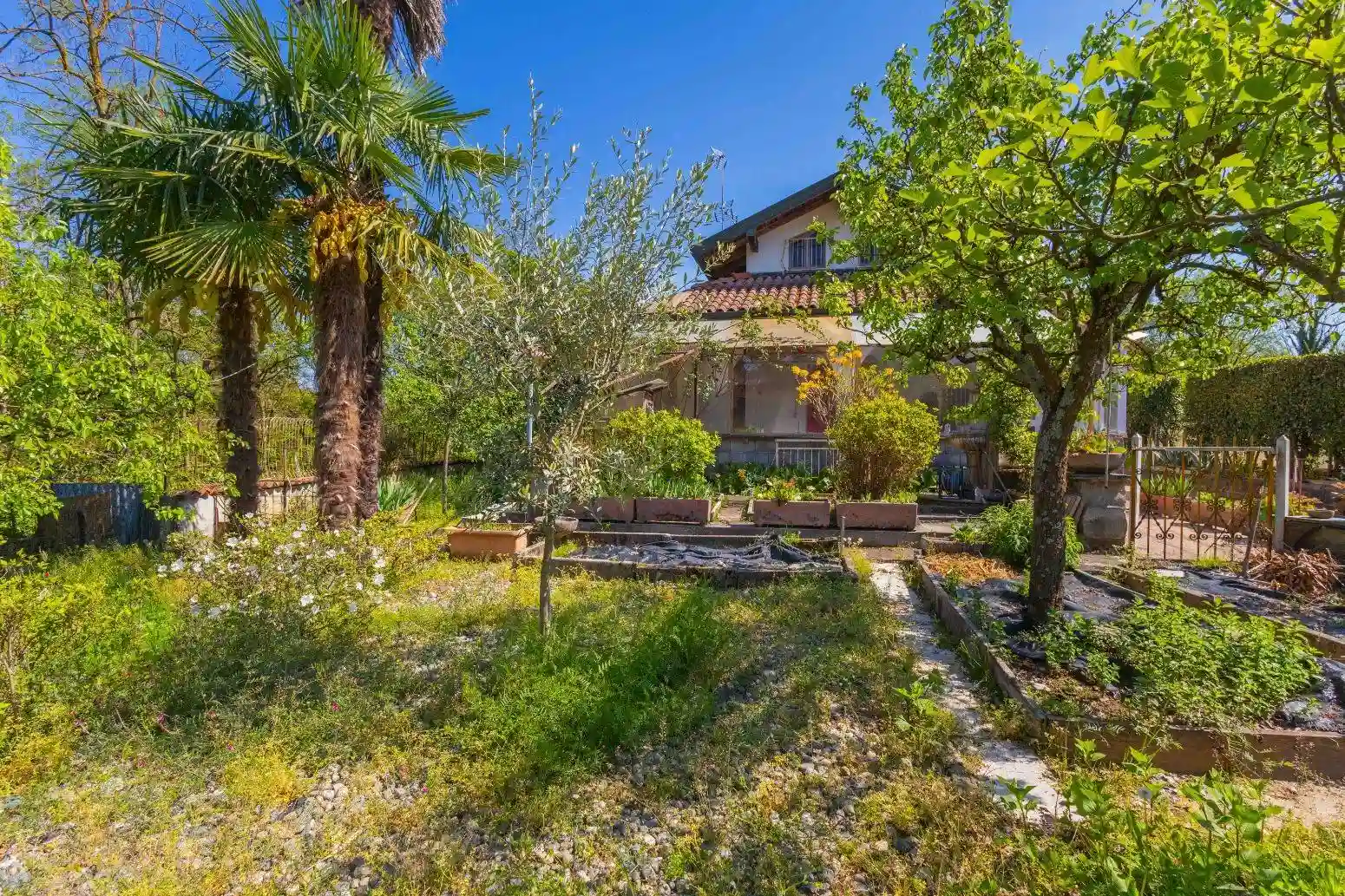 Villa - foto 5