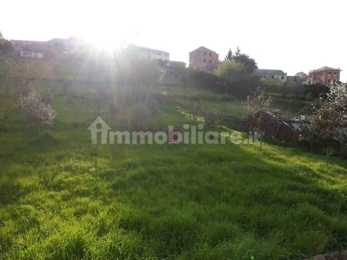 Appartamento in affitto a Genova