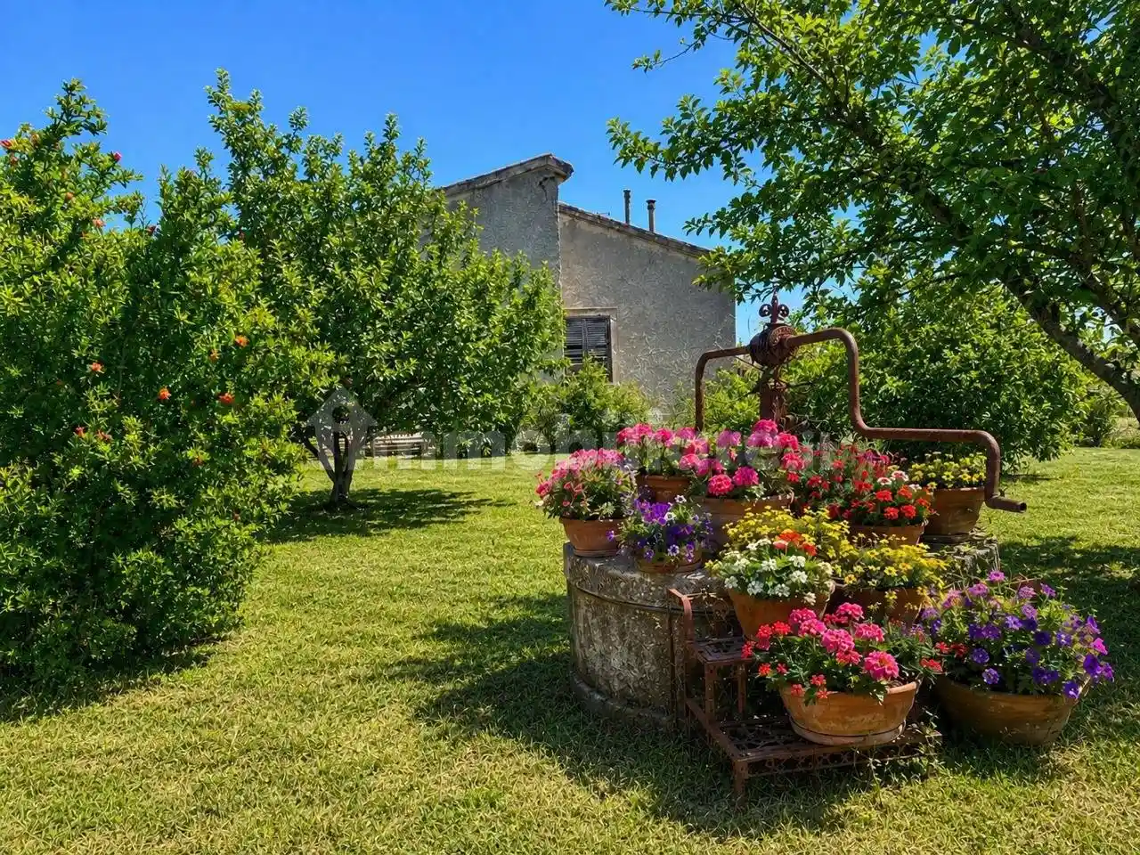 Villa in vendita a Cerveteri