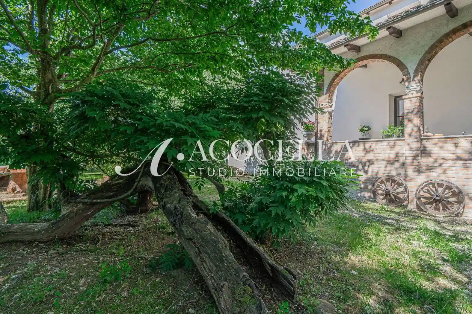 Casa indipendente - foto 4