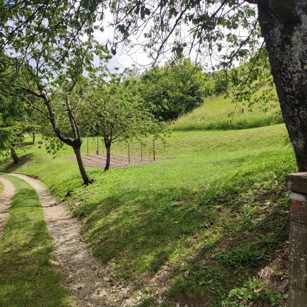 Rustico - Casale in vendita a Firenzuola