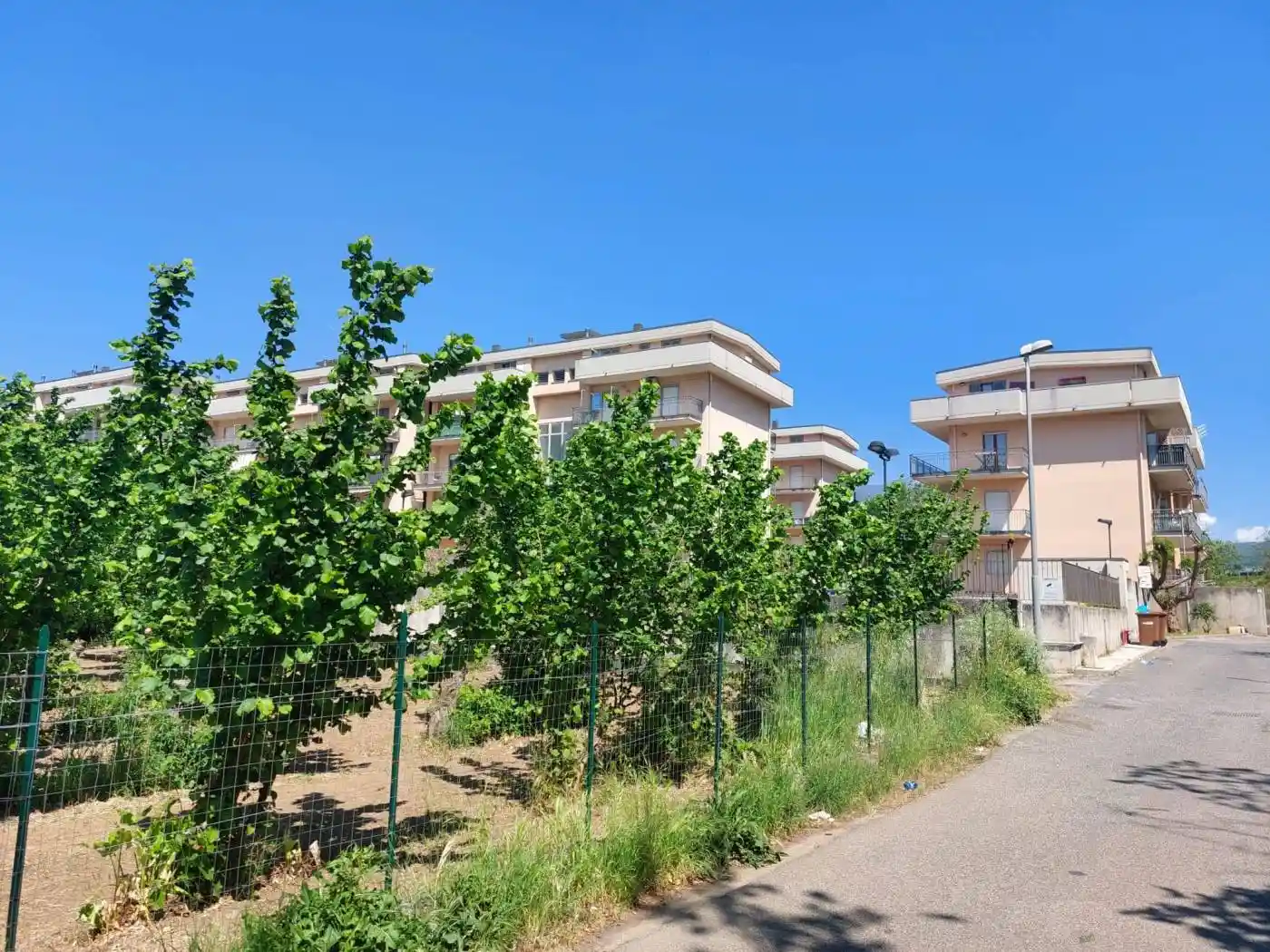 Appartamento in affitto a Mercato San Severino