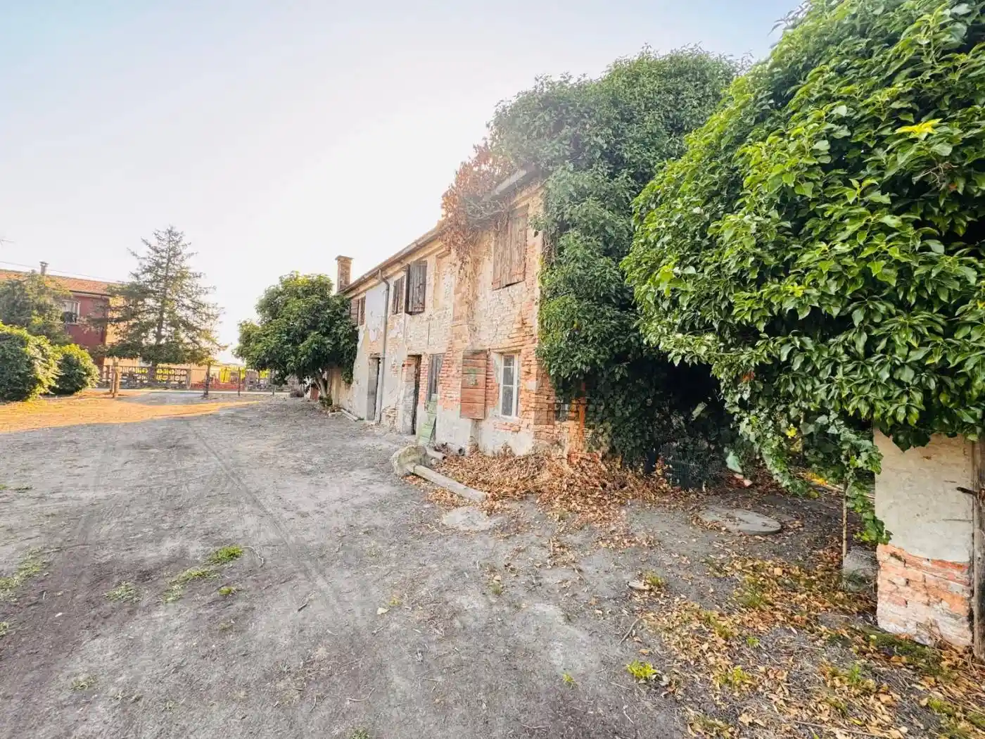 Rustico - Casale in vendita a Castagnaro