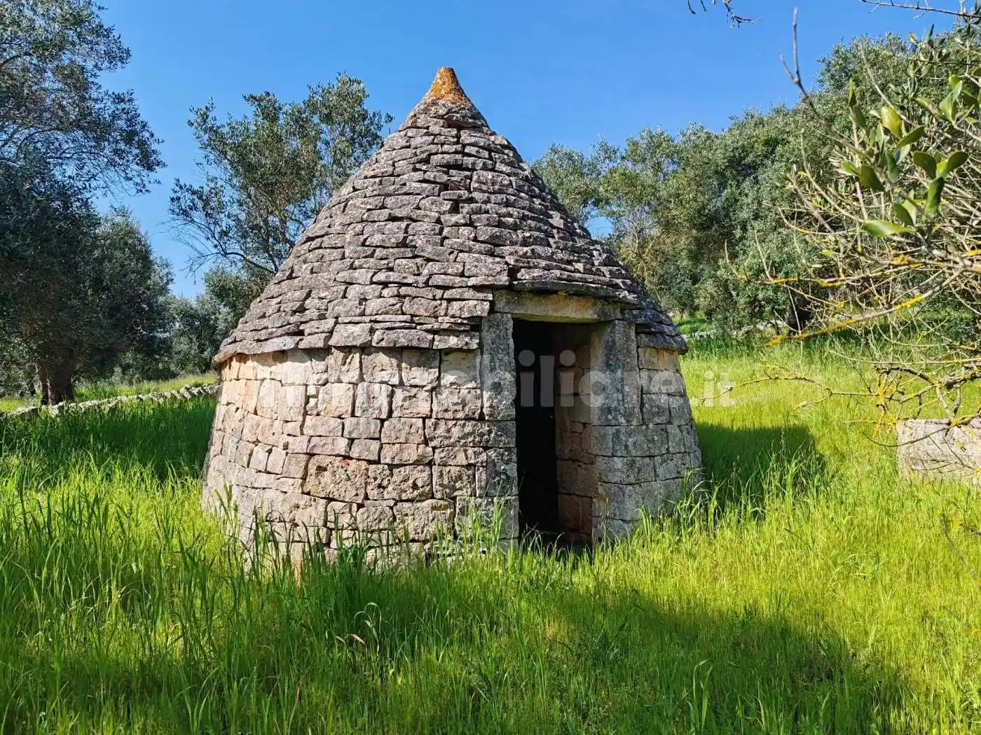 Rustico - Casale in vendita a Locorotondo