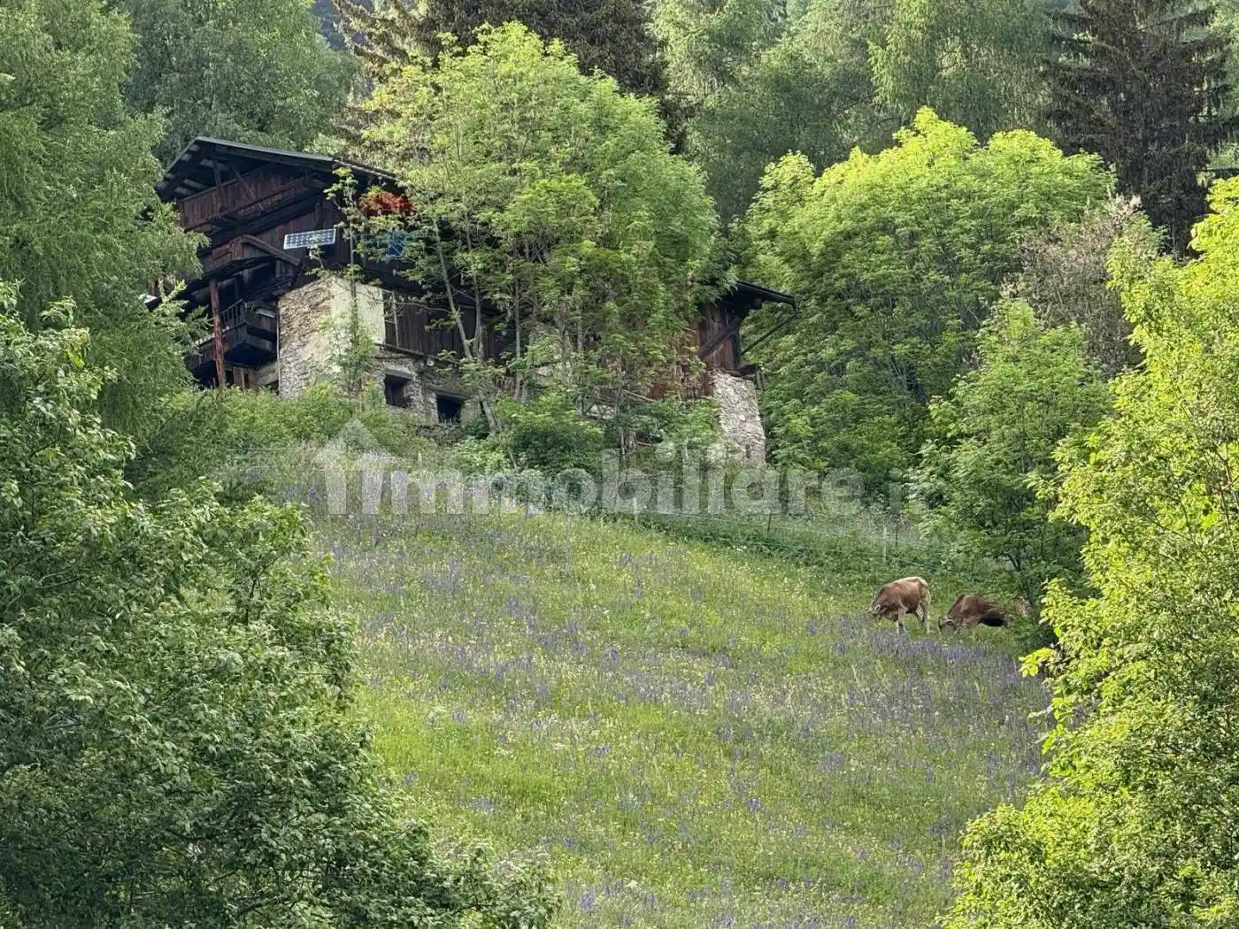 Rustico - Casale in vendita a Peio