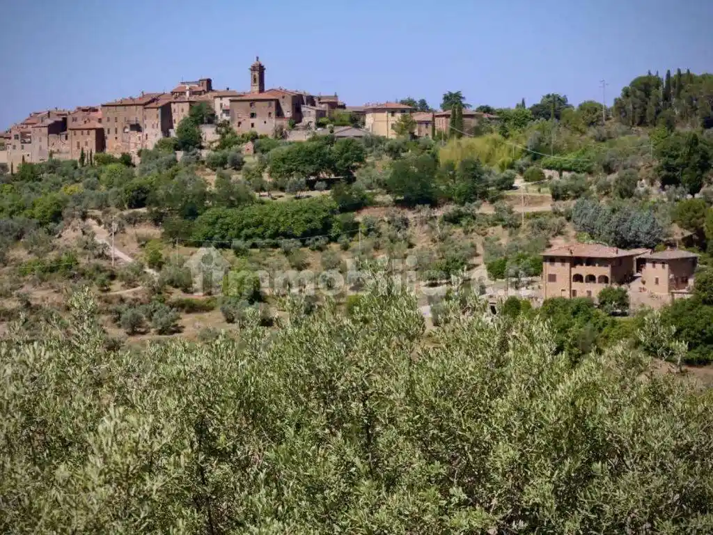 Rustico - Casale in vendita a Trequanda