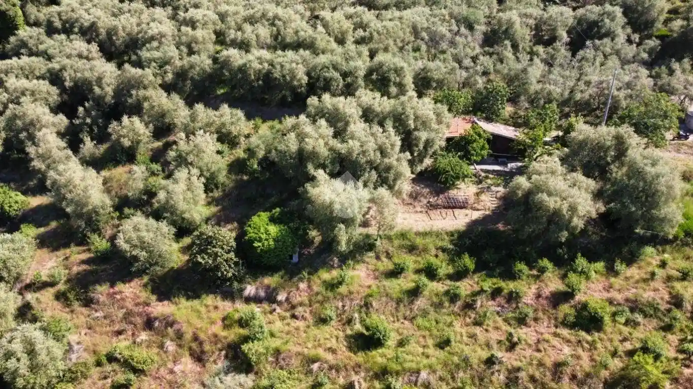 Rustico - Casale in vendita a Perinaldo