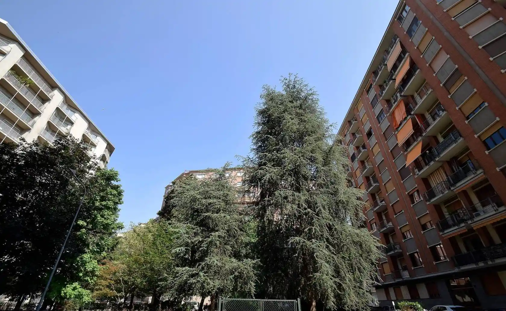 Appartamento in affitto a Torino